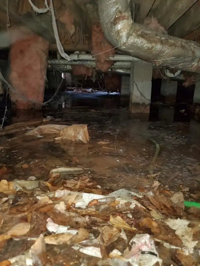 Crawl space flood assessment for Leak Detection & Repair in Sayre